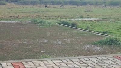 Others image of 13000.0 Sq.ft   Commercial Plot for sale in Gomti Nagar for 250000000