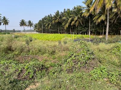 Others image of 47000.0 Sq.ft   Commercial Plot for rent in Malur for 150000