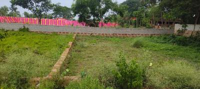 Others image of 5000.0 Sq.ft   Commercial Plot for sale in Kairi for 13000000