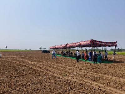 Commercial Plot