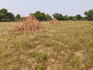 Others image of 41000.0 Sq.ft Commercial Plot for sale in Mahlan for 31100000