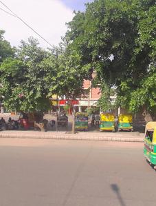 Others image of 3000.0 Sq.ft pre-leased  Showroom for sale in Sector 27 for 110000000