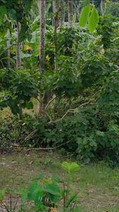 Others image of 144000.0 Sq.ft   Commercial Plot for sale in Naihati for 25000000