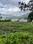Others image of 13200.0 Sq.ft   Commercial Plot for sale in Kotagiri for 6000000