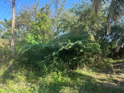 Others image of 2400.0 Sq.ft   Commercial Plot for rent in Nadukuthagai for 15000