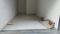 Others image of 300.0 Sq.ft  Ready to use Office Space for rent in Chandkheda for 16000