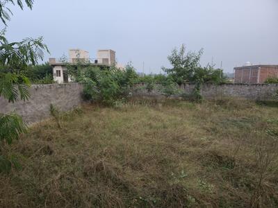 Others image of 1000.0 Sq.ft   Commercial Plot for rent in Noida Extension for 25000