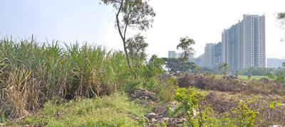 Others image of 40000.0 Sq.ft Commercial Plot for rent in Manjari Khurd for 160000