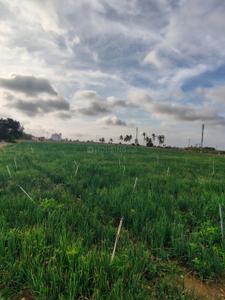Others image of 43000.0 Sq.ft   Commercial Plot for rent in Alur for 43000