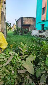 Others image of 1010.0 Sq.ft   Warehouse for rent in Kalagachhia for 21000