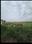 Others image of 16000.0 Sq.ft   Commercial Plot for rent in Bakkarwala for 60000