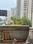 Others image of 200.0 Sq.ft pre-leased  Shop for sale in Noida Extension for 5500000