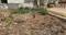 Others image of 2400.0 Sq.ft Warehouse for rent in Chinnamushidiwada for 30000