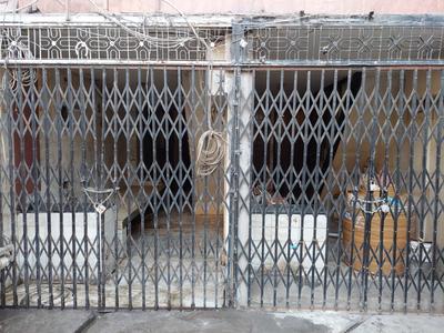 Commercial image of 800.0 Sq.ft   Shop for rent in Chandni Chowk for 200000