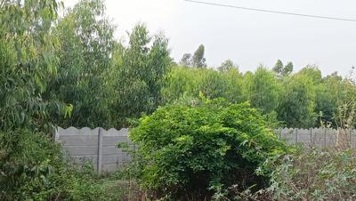 Others image of 30000.0 Sq.ft   Commercial Plot for rent in Yelachanayakanapura for 900000