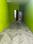 Others image of 450.0 Sq.ft Ready to use Office Space for rent in Nellitope for 10000