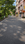 Others image of 550.0 Sq.ft   Shop for sale in Mukundapur for 4000000