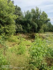 Commercial Plot