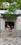 Entrance image of 250.0 Sq.ft   Shop for rent in New Maninagar for 18500