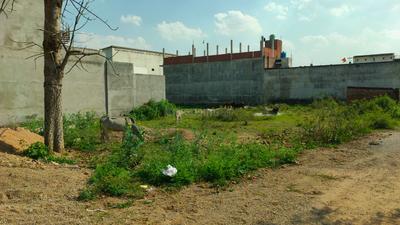 Others image of 7500.0 Sq.ft   Commercial Plot for sale in Chinhat for 18750000