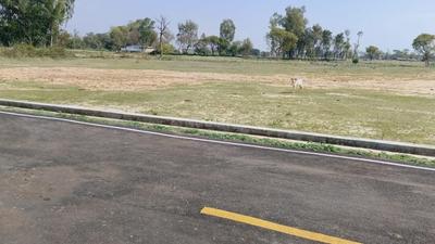Others image of 5000.0 Sq.ft   Commercial Plot for sale in Jinholi for 15000000