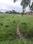 Others image of 2520.0 Sq.ft Commercial Plot for sale in Kheyadah Village for 1750000