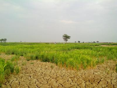 Others image of 500.0 Sq.ft   Commercial Property for sale in Veerapanenigudem for 3000000