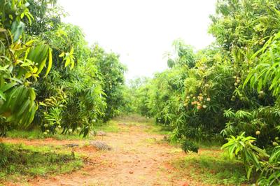 Others image of 4840.0 Sq.ft   Commercial Plot for sale in Chevella for 24000000