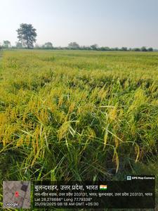 Others image of 26910.0 Sq.ft Commercial Plot for sale in Sikandrabad for 7200000
