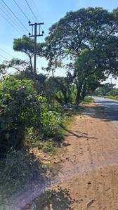 Others image of 18000.0 Sq.ft   Commercial Plot for sale in Bamunara for 400000000