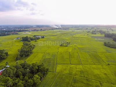 Commercial Plot