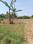 Others image of 6099.0 Sq.ft   Commercial Plot for sale in Jami for 5600000