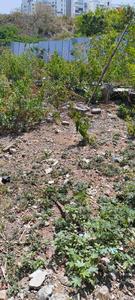 Others image of 9000.0 Sq.ft   Commercial Plot for sale in Mohammed Wadi for 65000000