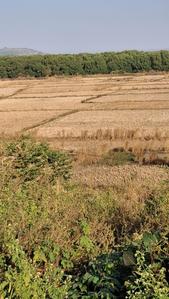 Others image of 1089.0 Sq.ft   Commercial Plot for sale in Belondakhar for 800000