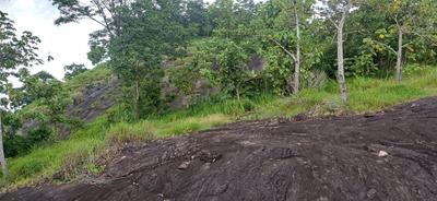 Others image of 1278.0 Sq.ft   Commercial Plot for sale in Kodumthara for 200000