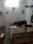 Others image of 150.0 Sq.ft Shop for rent in for 10000
