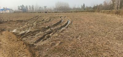 Others image of 174239.0 Sq.ft   Commercial Plot for sale in Sarsawa for 125000000