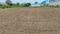 Others image of 8000.0 Sq.ft   Warehouse for rent in Wadaki for 60000