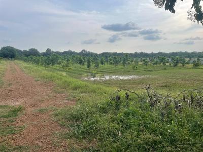 Others image of 900.0 Sq.ft   Commercial Plot for sale in Gannavaram for 585000