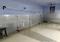 Others image of 990.0 Sq.ft   Warehouse for rent in Guru Arjan Dev Nagar for 18000