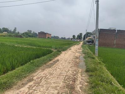 Commercial Plot