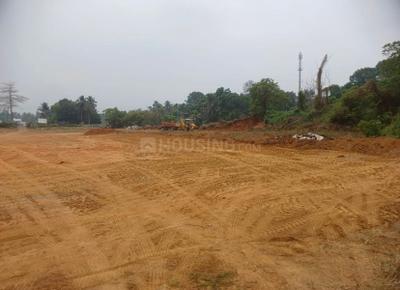 Commercial Plot