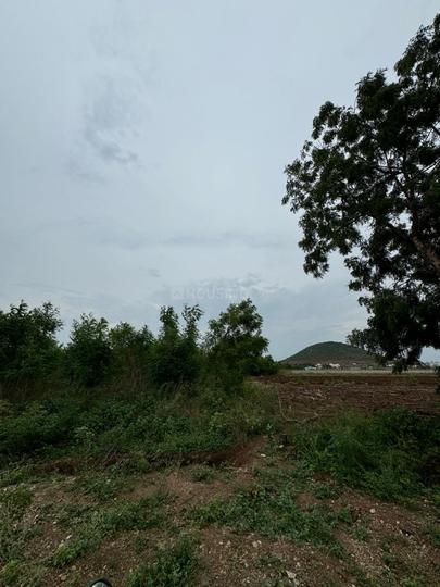 Others image of 74052.0 Sq.ft   Commercial Plot for sale in Addanki for 25000000