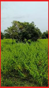 Others image of 200000.0 Sq.ft Commercial Property for sale in Uthukkottai for 15000000