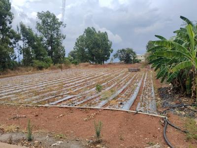 Commercial Plot