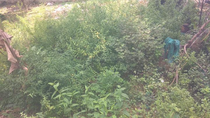 Others image of 21000.0 Sq.ft pre-leased  Commercial Plot for sale in Anna Nagar for 770000000