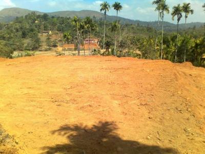 Commercial Plot