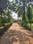 Others image of 149500.0 Sq.ft   Commercial Plot for rent in Arambagh for 250000