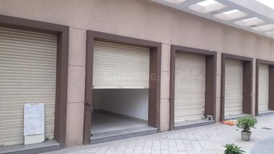 Commercial image of 250.0 Sq.ft   Shop for rent in Sector 84 for 25000