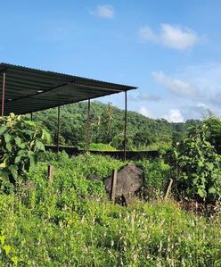 Others image of 217800.0 Sq.ft   Commercial Plot for sale in Naigaon East for 440000000